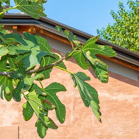 Corte Barattina - Antica Dimora Tra Campagna E Citta Trebbo Di Reno