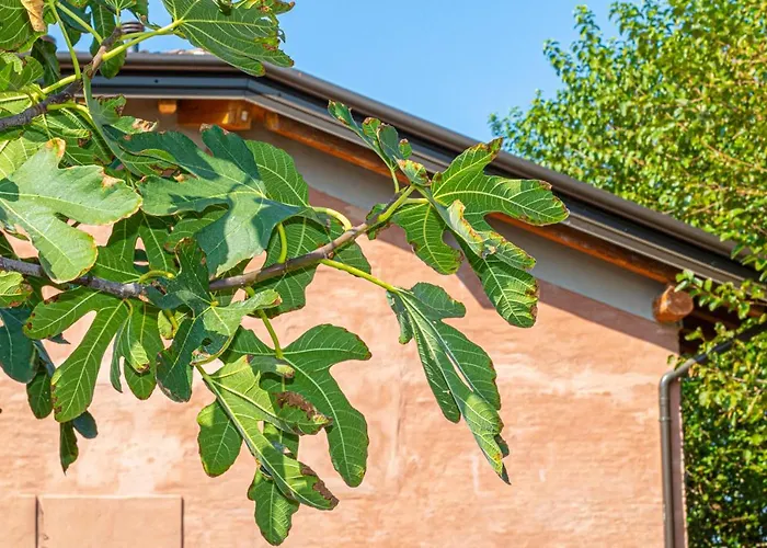 Corte Barattina - Antica Dimora Tra Campagna E Citta Trebbo Di Reno